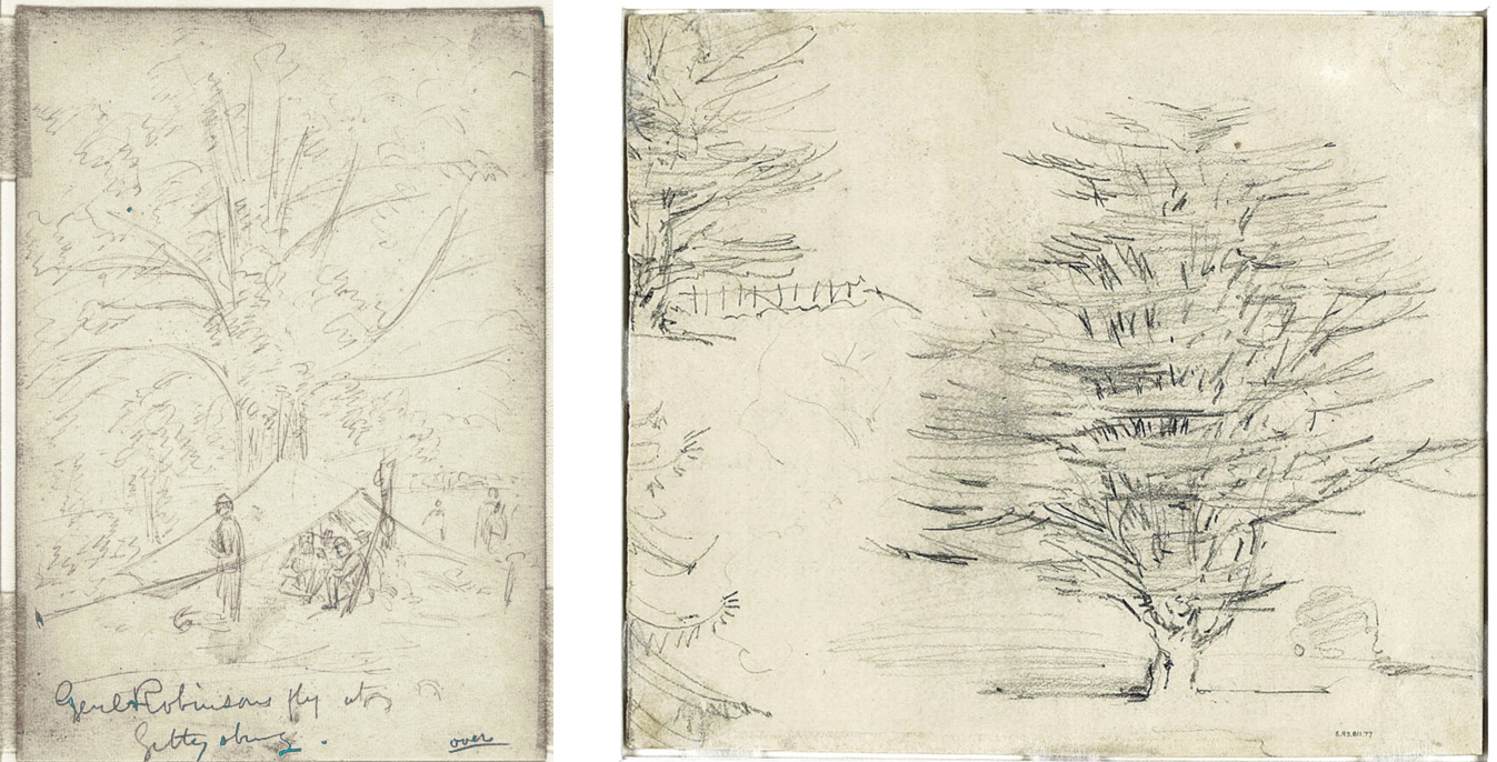 Waud-Robinson's Fly and Lg Tree